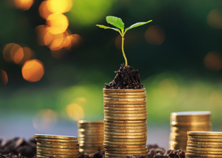 Green Energy for Businesses: Trend or Long-Term Investment?